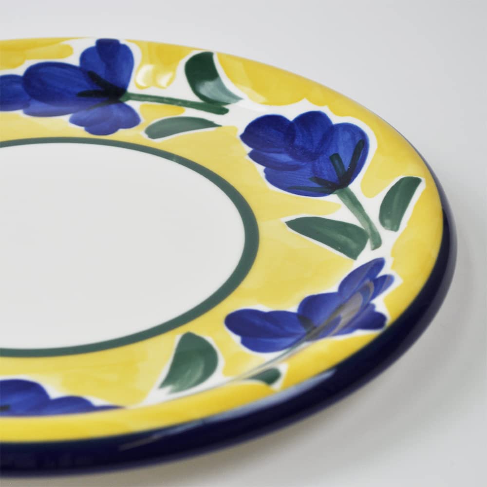Amazon.co.jp: 【日本製】 イタリア風食器 カンパーニャ 28cm 大皿